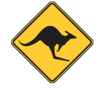 Murray Skippycoin ICG Murray Skippycoin ICG